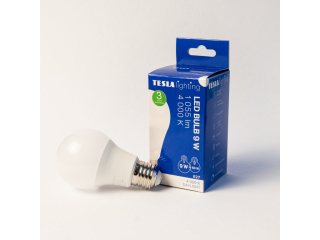 LED žárovka BULB E27, 9W, 230V, 1055lm, 25 000h, 4000K denní bílá 220st