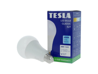 LED žárovka BULB E27, 20W, 230V, 2500lm, 25 000h, 6500K studená bílá 220st